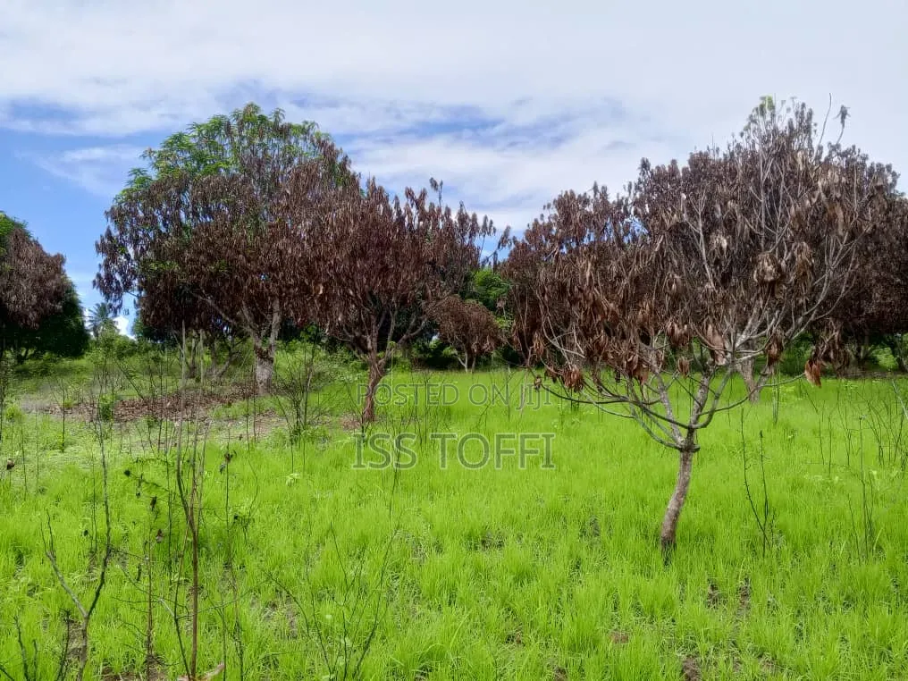 Plot for Investment/Eneo La Uwekezaji
