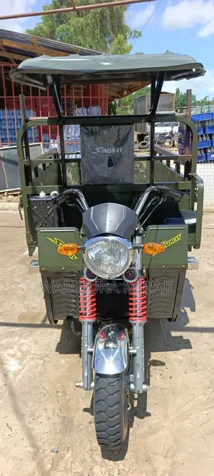 New Bajaj 2025 Green