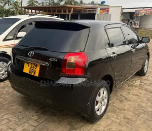 Toyota Allex 2004 Black