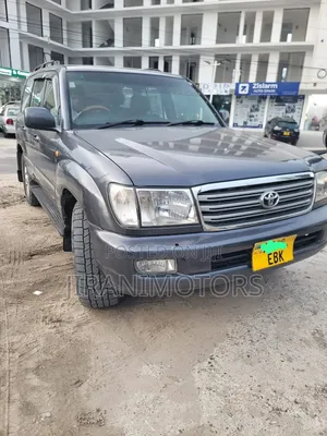 Toyota Land Cruiser HDJ 100 2002 Gray