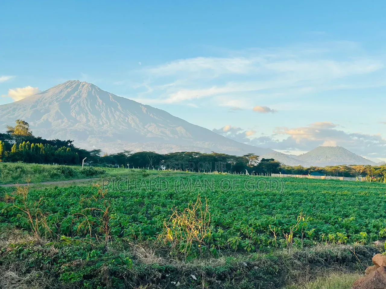 Prime Land 1 Acre for Sale in Burka-Arusha