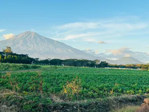 Prime Land 1 Acre for Sale in Burka-Arusha