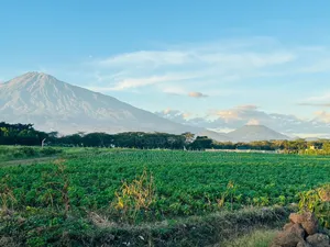 Prime Land 1 Acre for Sale in Burka-Arusha