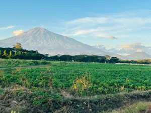 Prime Land 1 Acre for Sale in Burka-Arusha