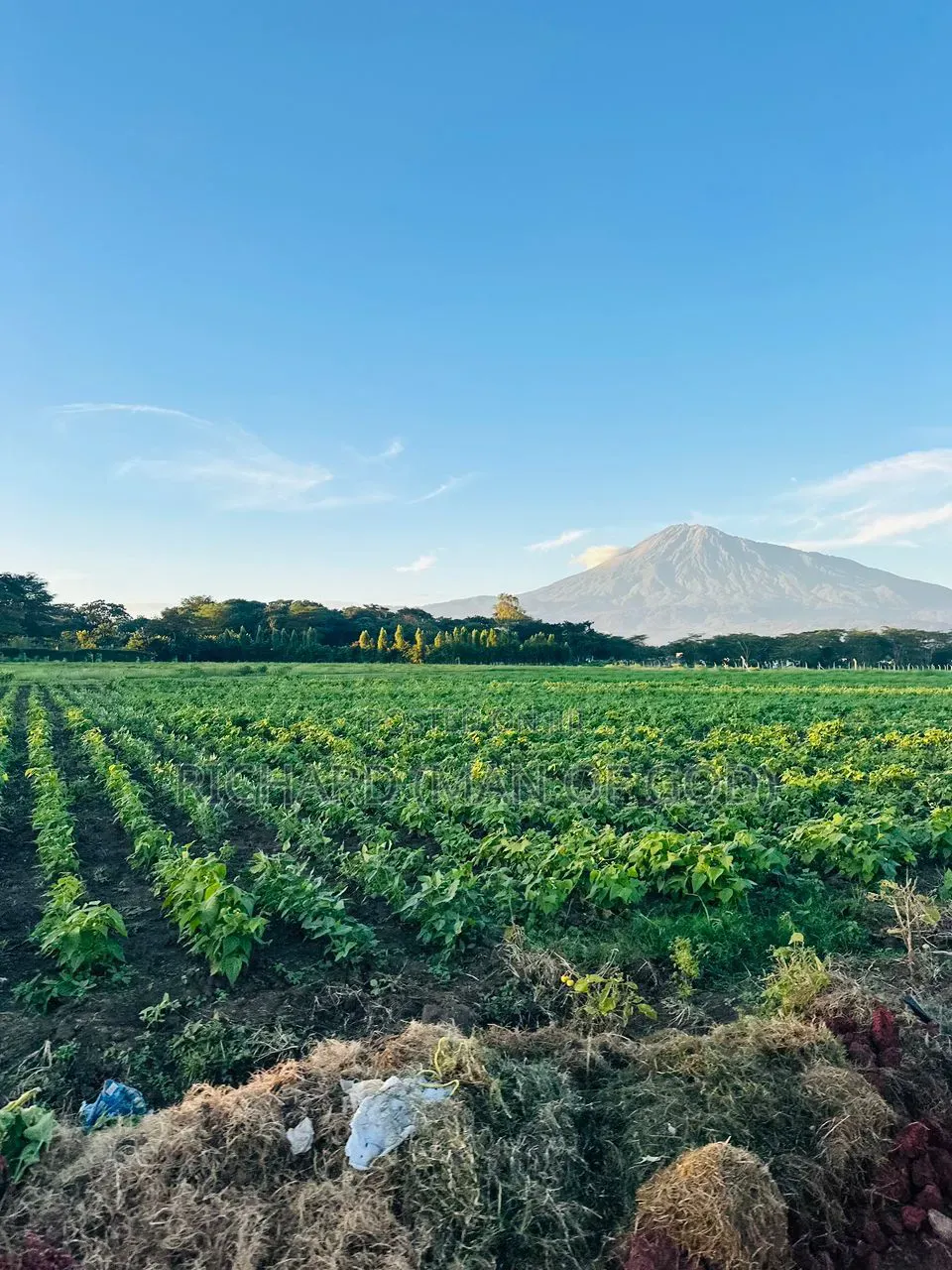 Prime Land 1 Acre for Sale in Burka-Arusha