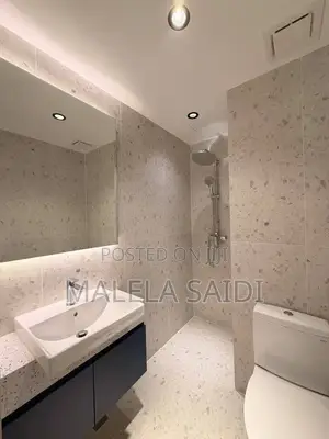 Furnished 3bdrm Apartment in Masaki for rent