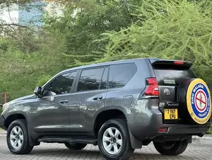 Toyota Land Cruiser Prado 2014 Gray