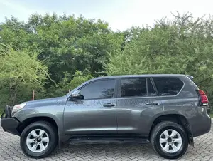 Toyota Land Cruiser Prado 2014 Gray