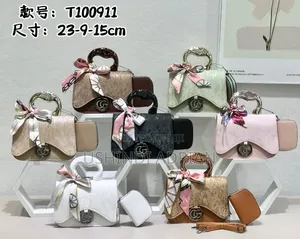 Luxury Mini Bags/Mikoba Midogo Ya Kisasa Yenye Mvuto Kwa Wadada