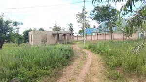 3bdrm House in Mkolani for sale