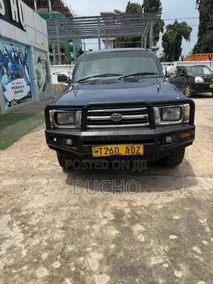 Toyota Hilux 1998 Blue