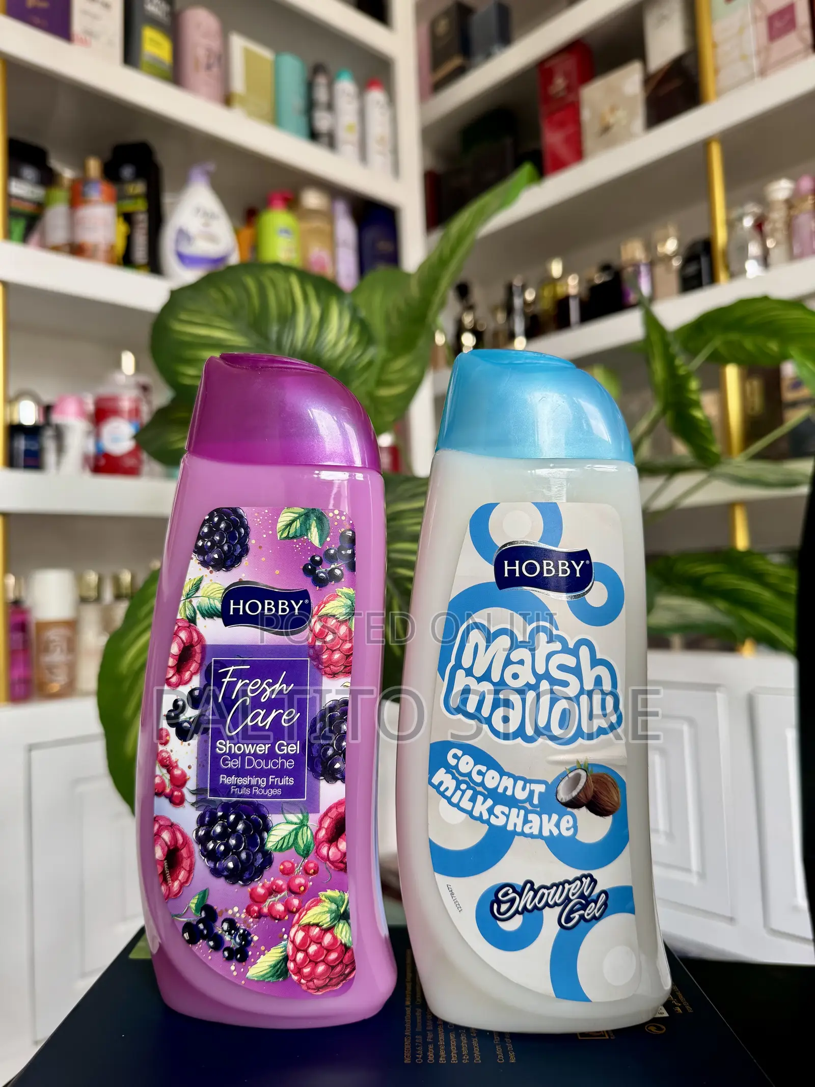 Hobby MLS 500 Mini Showergel