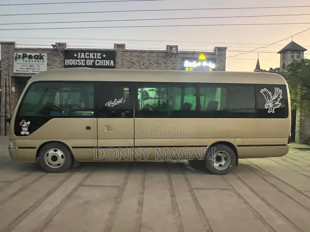 Toyota Coaster 2004 Gold