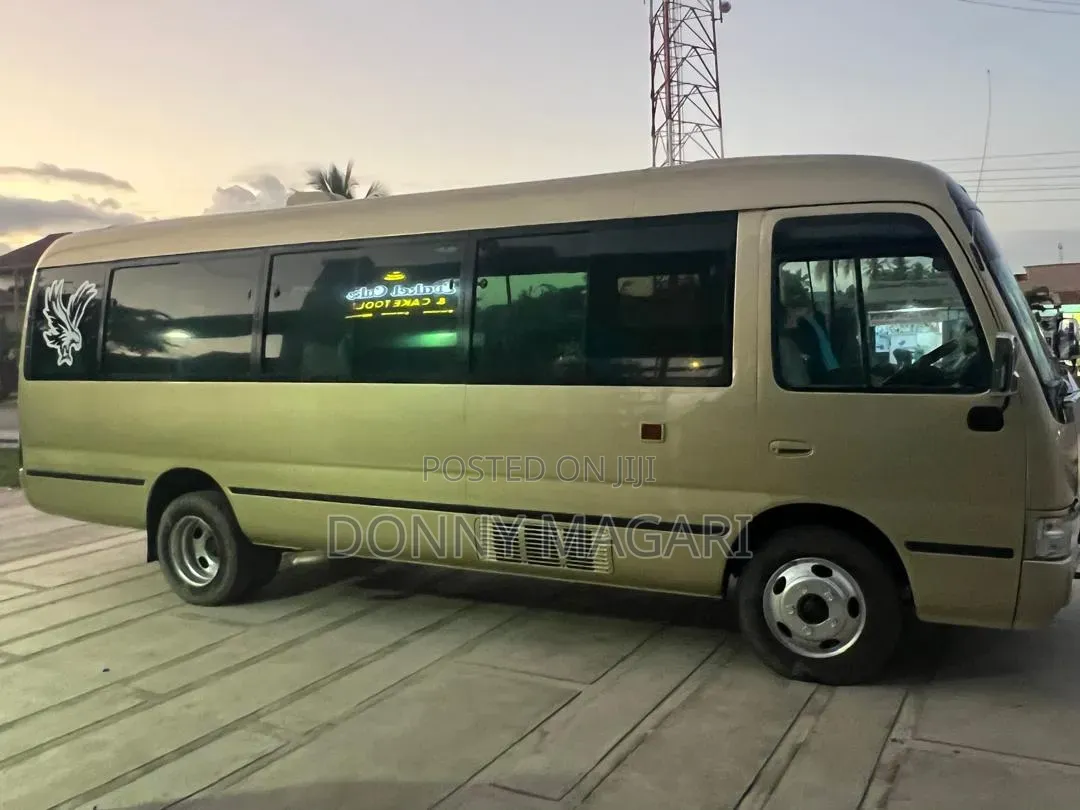 Toyota Coaster 2004 Gold