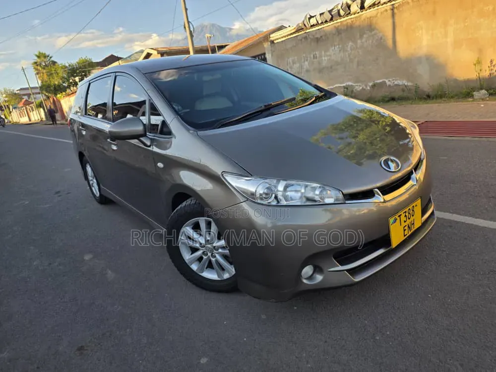 Toyota Wish 2010 Brown