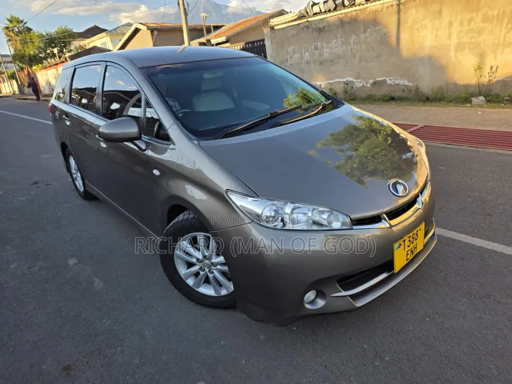 Toyota Wish 2010 Brown