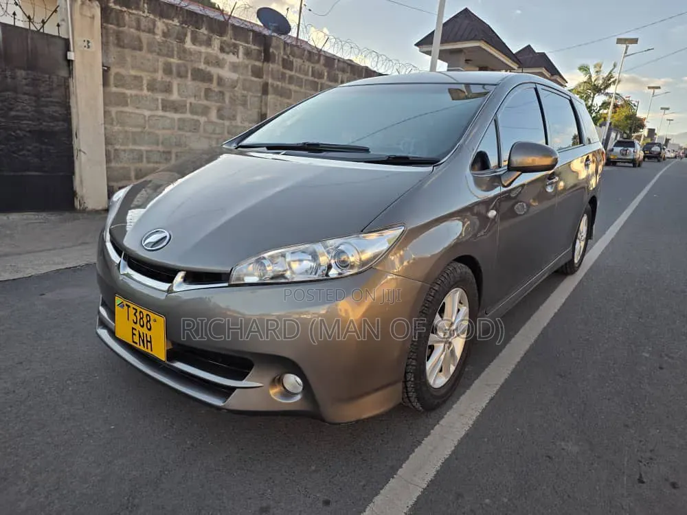 Toyota Wish 2010 Brown