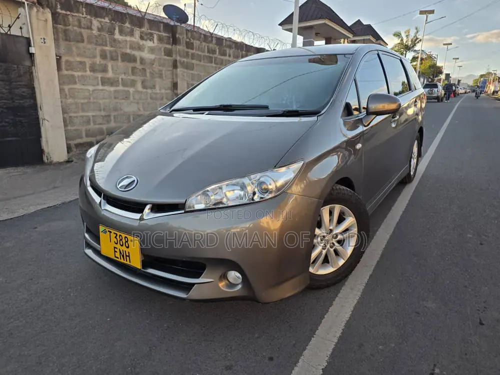 Toyota Wish 2010 Brown