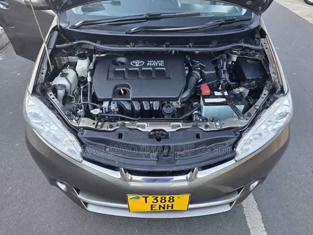 Toyota Wish 2010 Brown