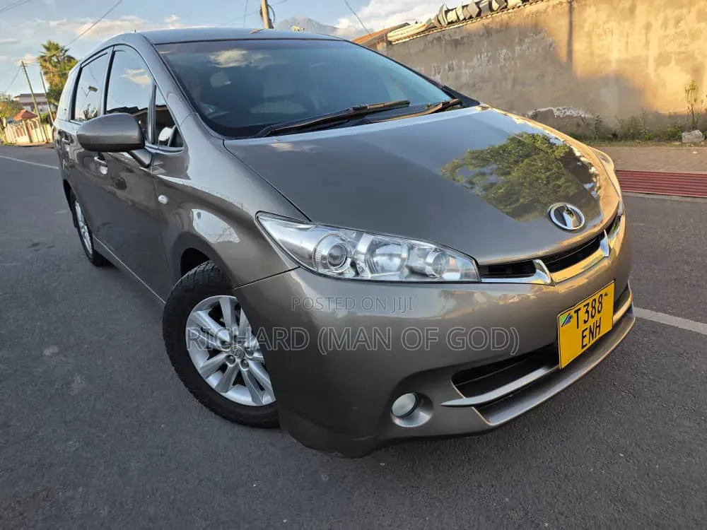 Toyota Wish 2010 Brown