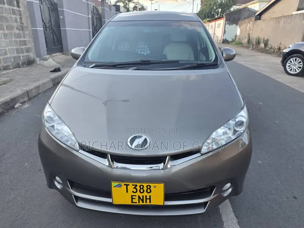 Toyota Wish 2010 Brown