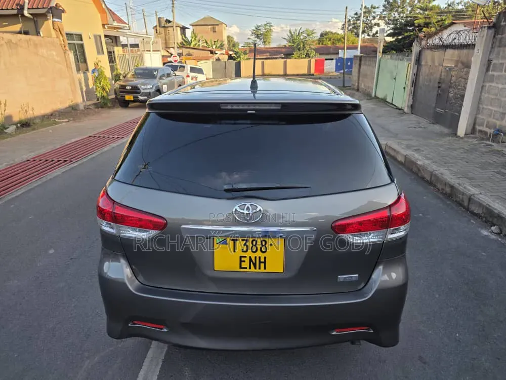 Toyota Wish 2010 Brown