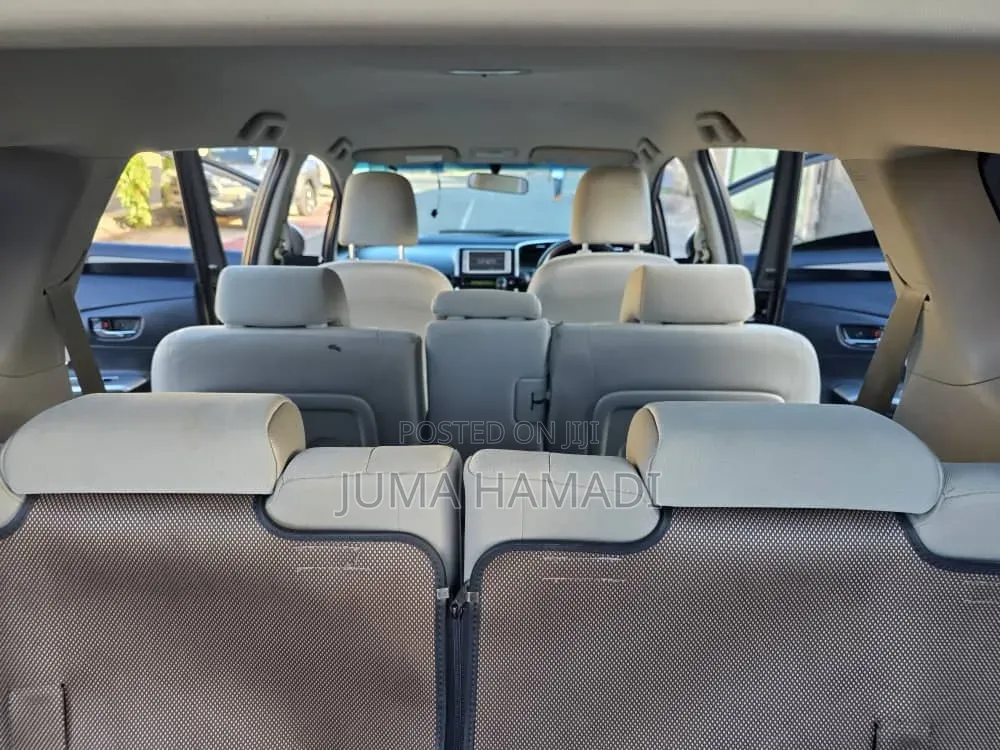 Toyota Wish 2010 Brown