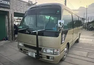 Toyota Coaster 1980 Gold