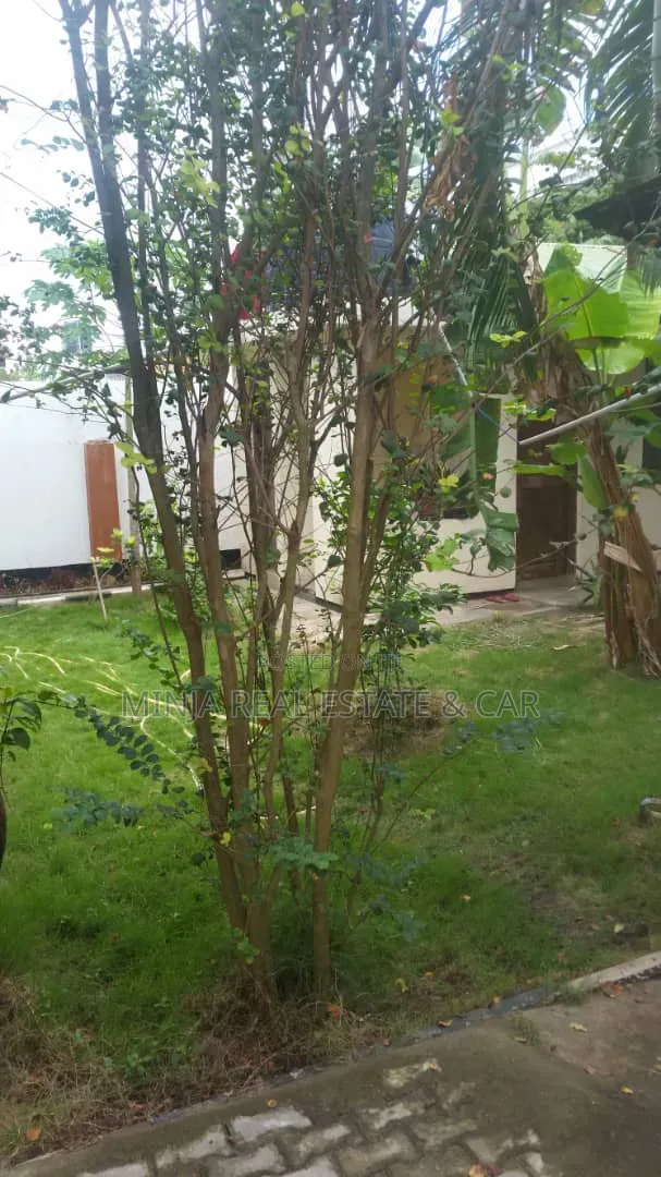4bdrm House in Mikocheni for rent