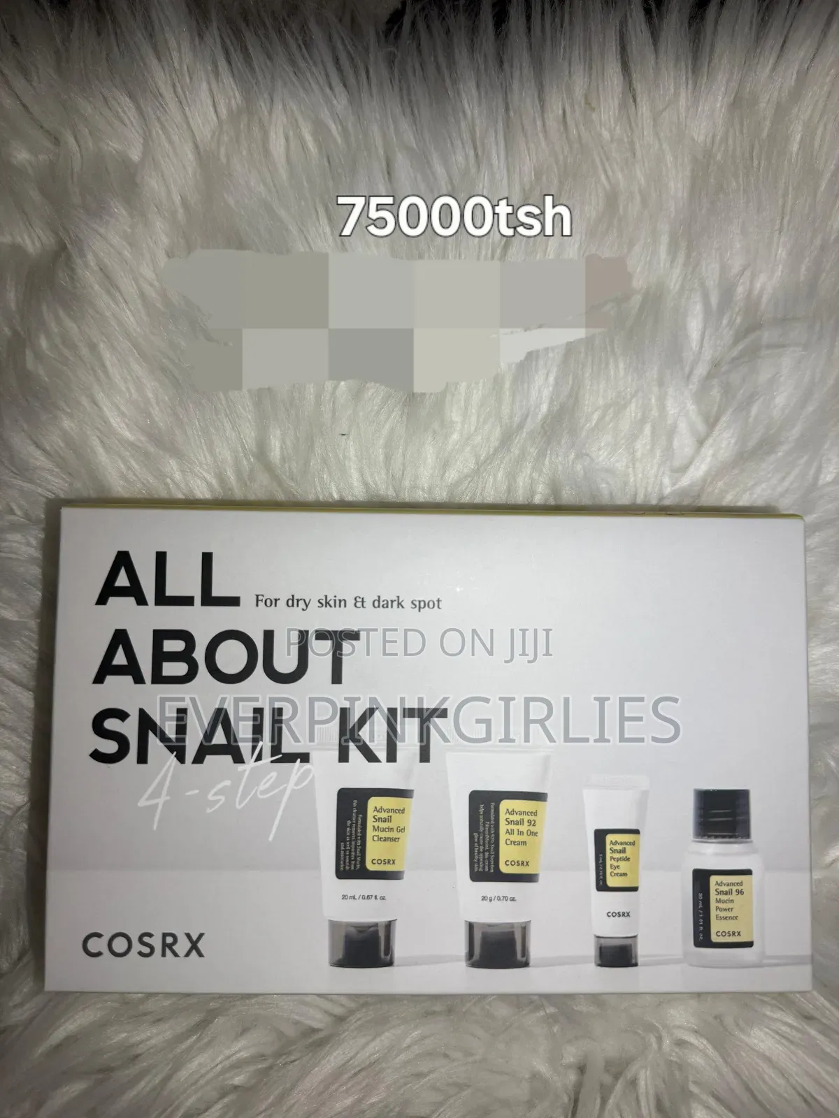All About Snail Kit
