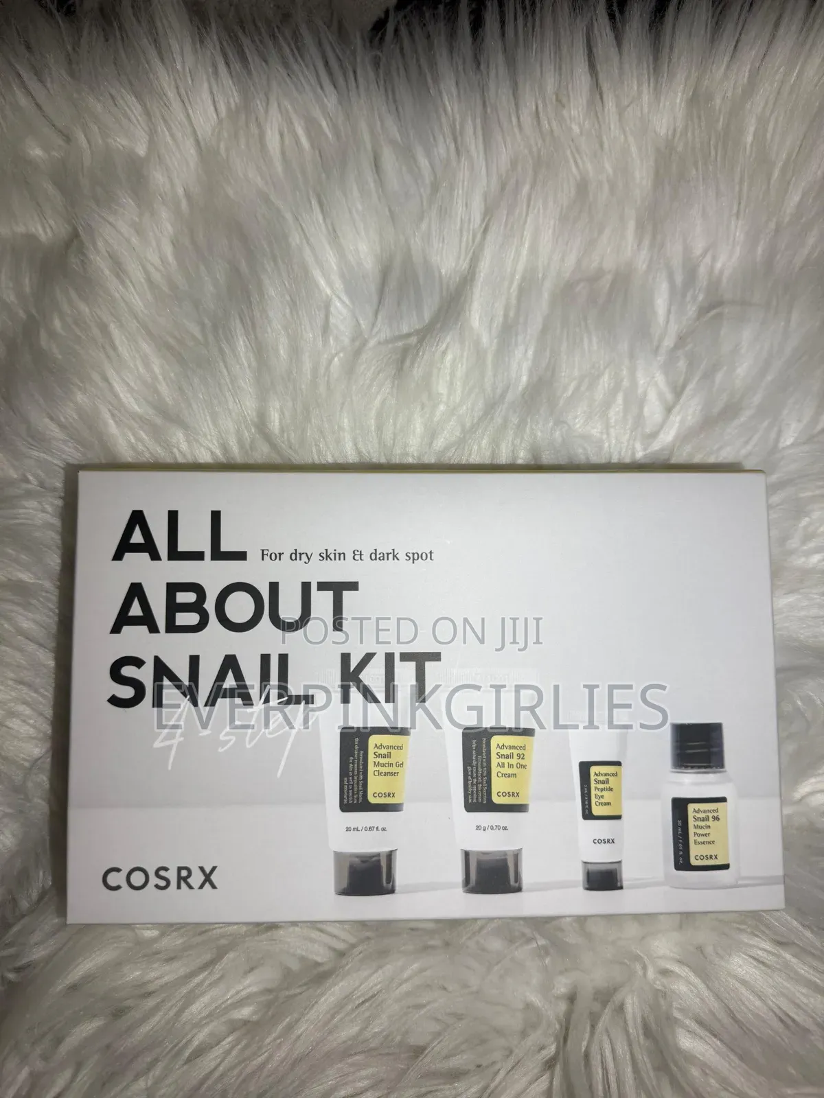 All About Snail Kit