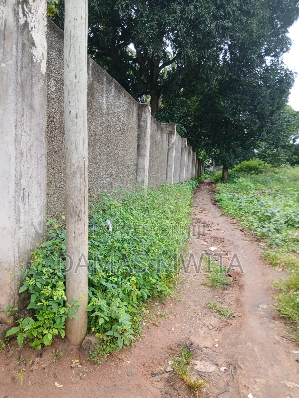 Godown for Rent in Mwanambaya, Tambani for Rent