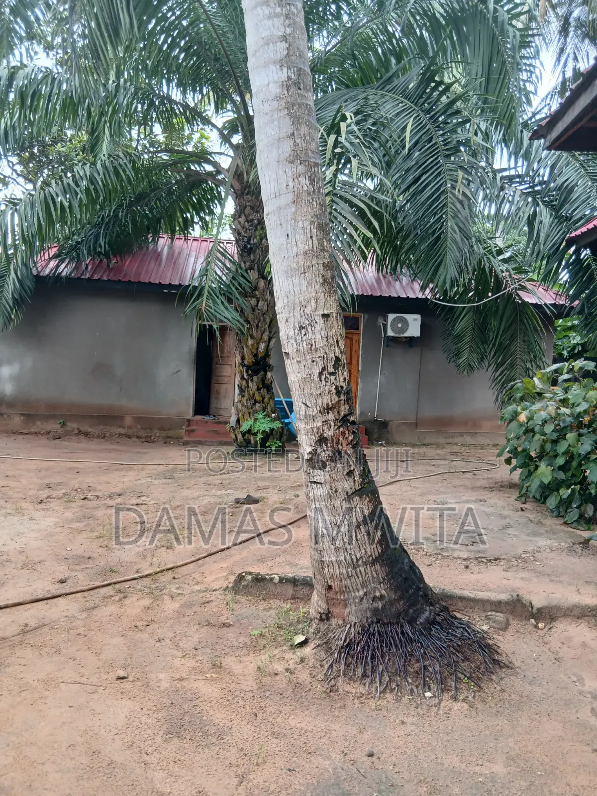 Godown for Rent in Mwanambaya, Tambani for Rent