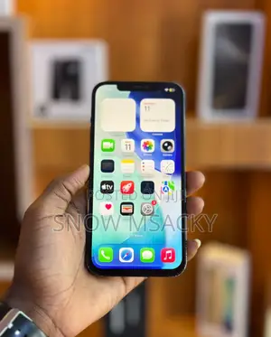 Apple iPhone 12 Pro Max 256 GB Blue