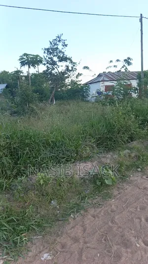 Plot For Sale Mwanza