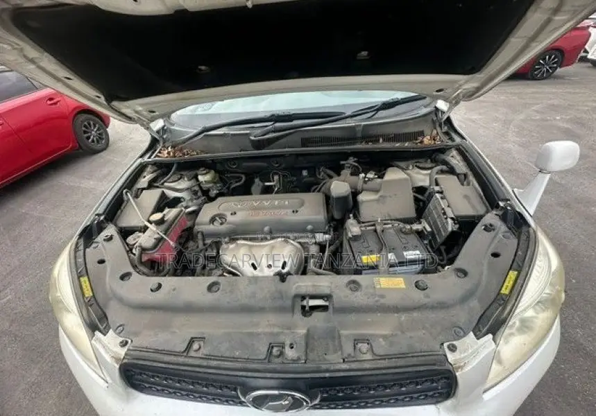 Toyota RAV4 2006 Pearl