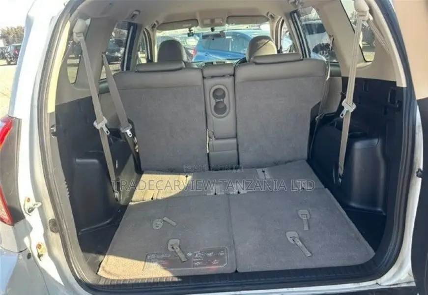 Toyota Vanguard 2008 Pearl