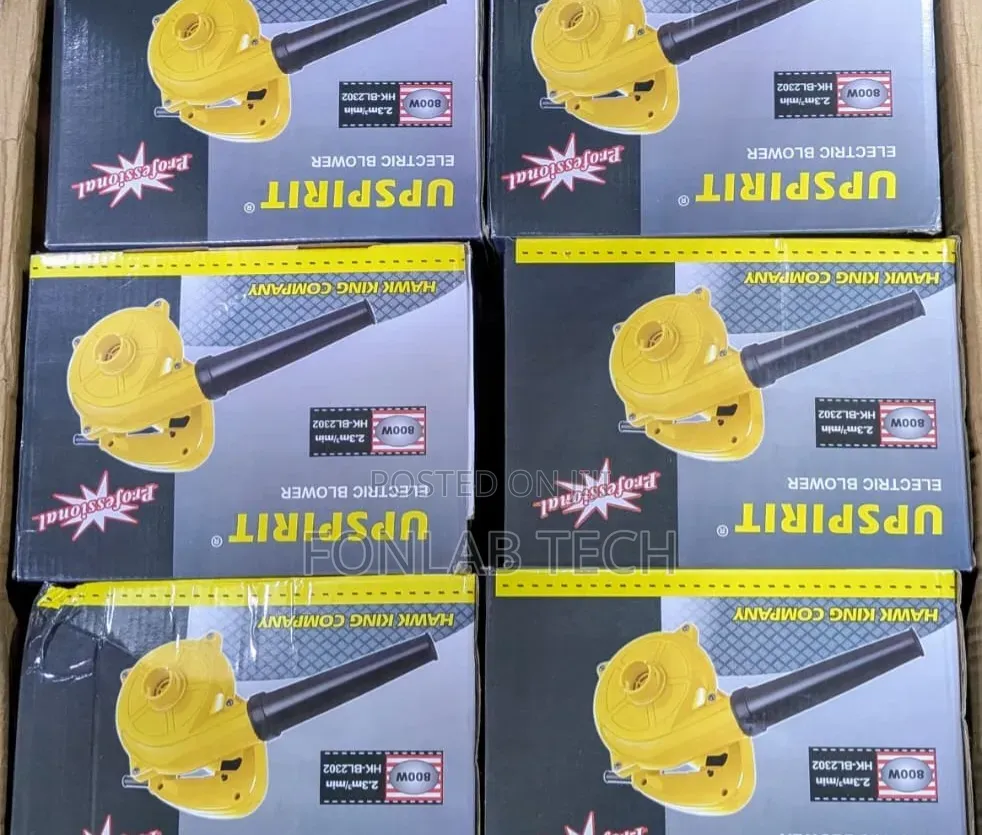 Electric Blower 800w 