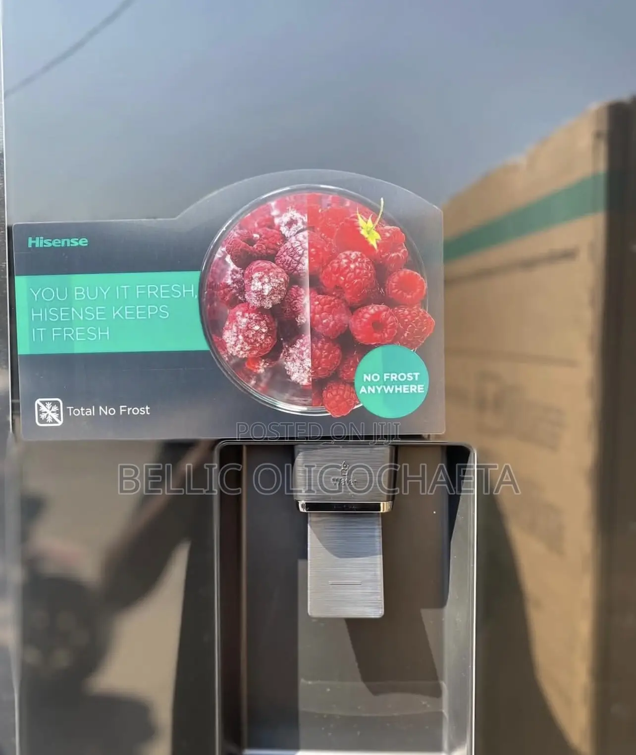 Hisense Fridge Rs5p558nmsg (529l)