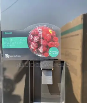 Hisense Fridge Rs5p558nmsg (529l)