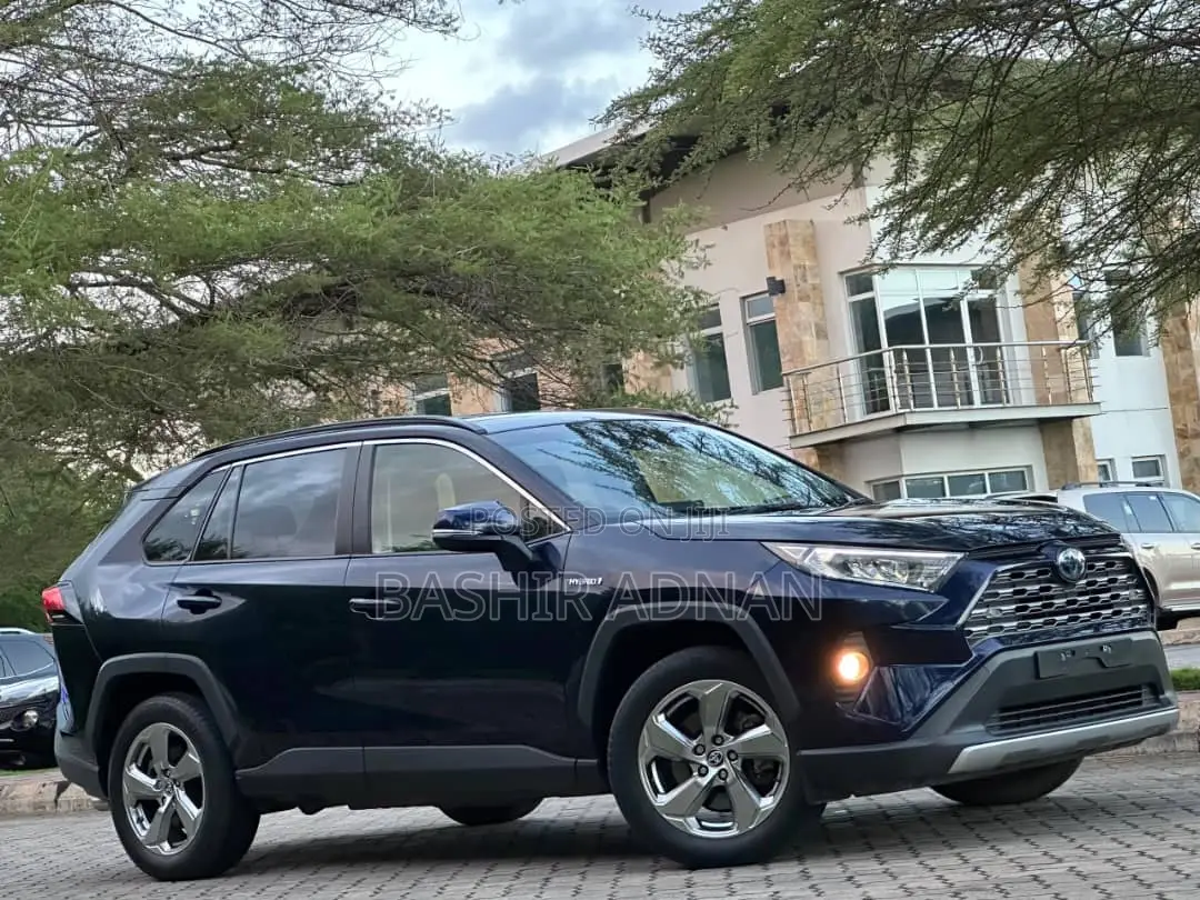 Toyota RAV4 2020 Blue