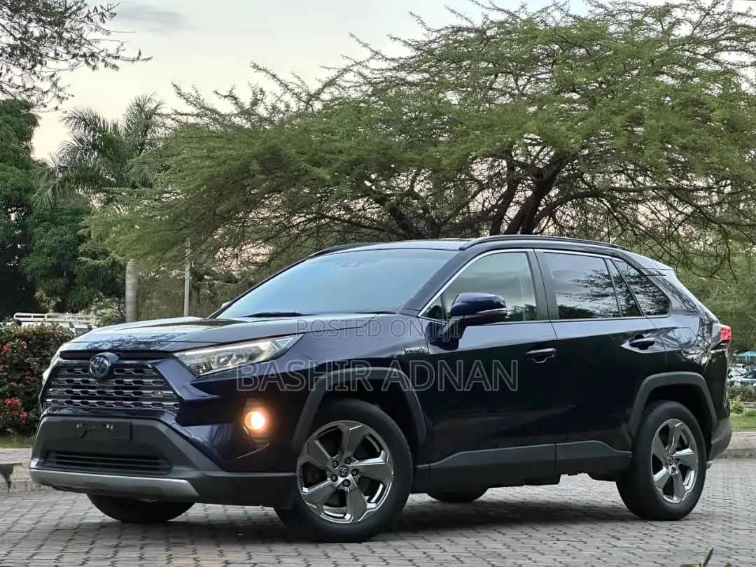 Toyota RAV4 2020 Blue