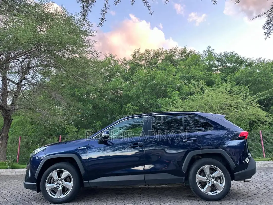 Toyota RAV4 2020 Blue