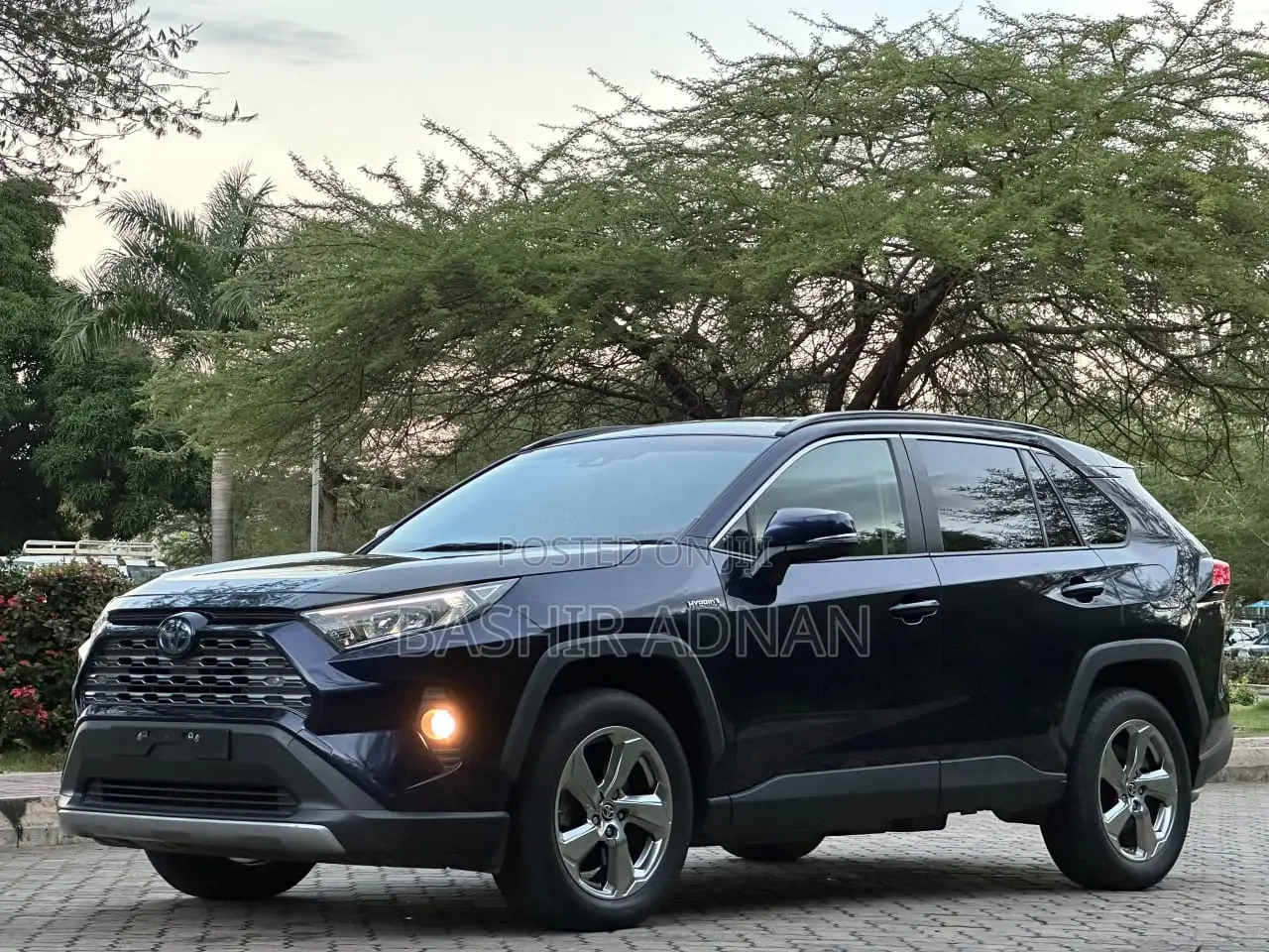 Toyota RAV4 2020 Blue