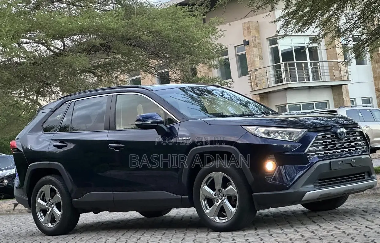 Toyota RAV4 2020 Blue