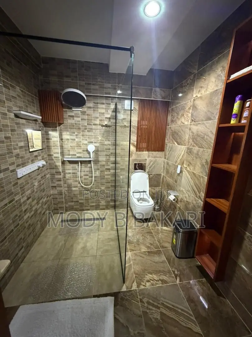 Furnished 3bdrm Apartment in Masaki for rent