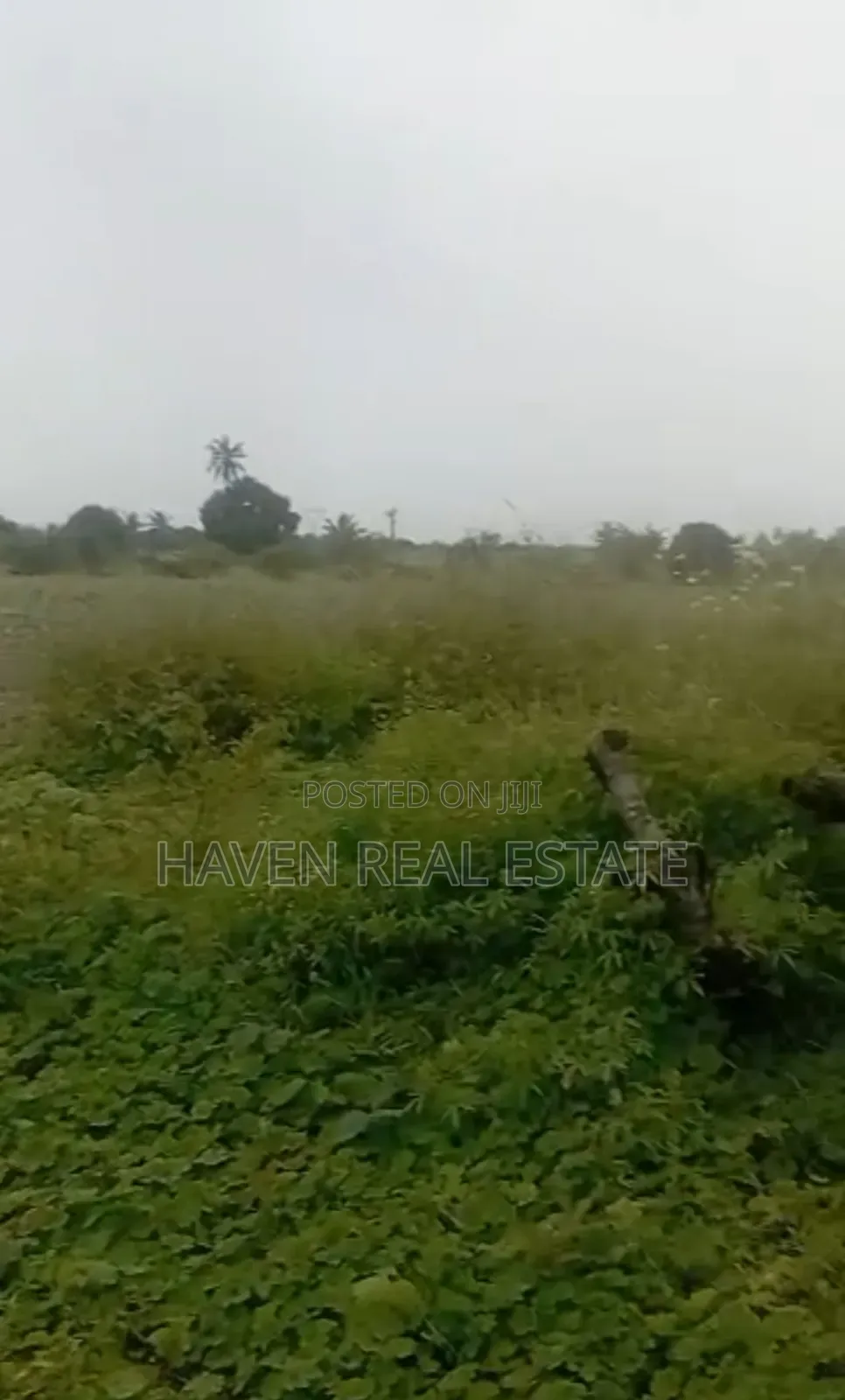 10 Acres for Sale at Kibaha Misugusugu Along Moro Road
