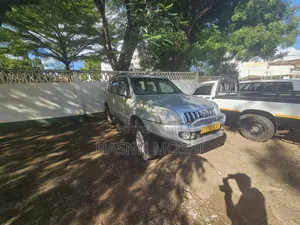 Toyota Land Cruiser Prado 2003 Silver