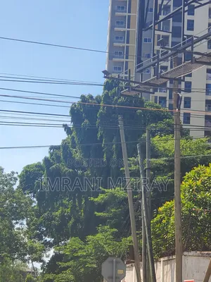 4bdrm Bungalow in Ada Estate for rent