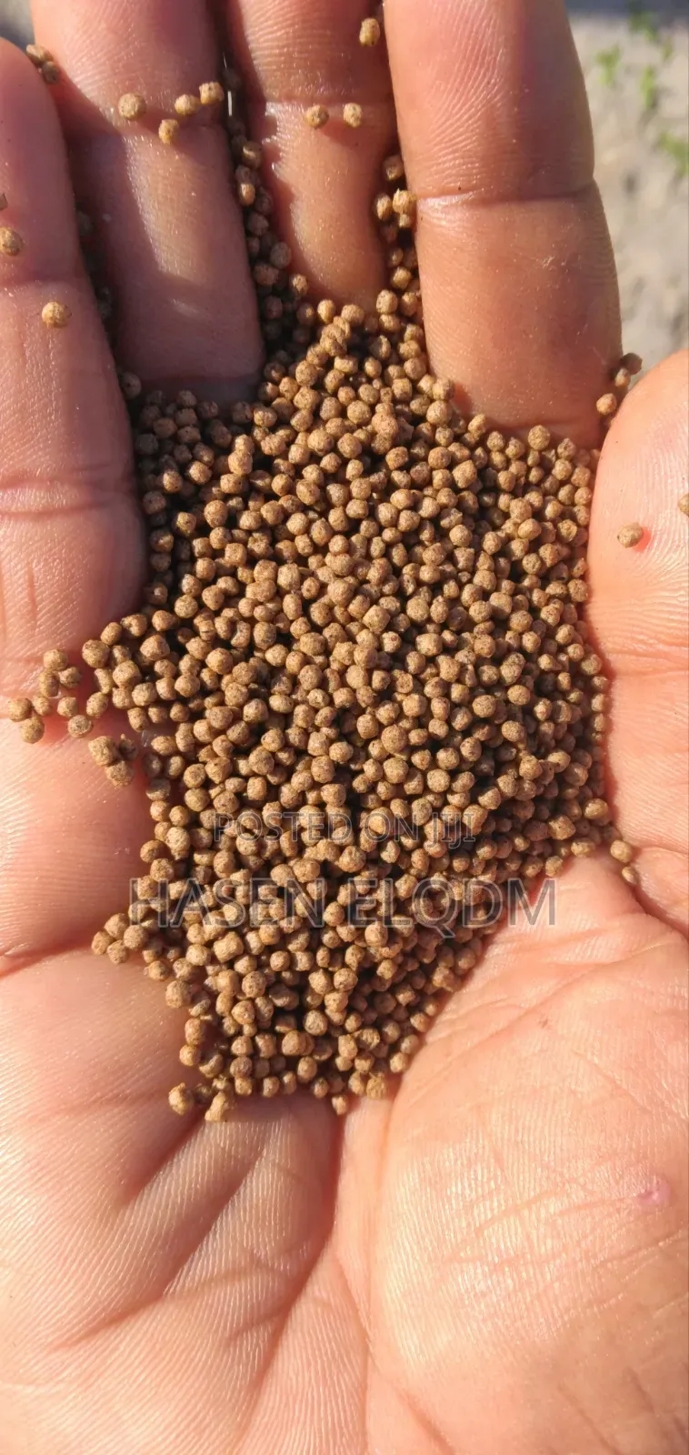 Aquarium Fish Feed